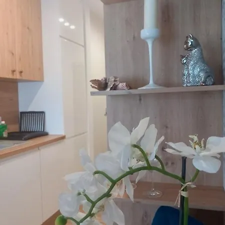 Apartmán Jaworska 4 *